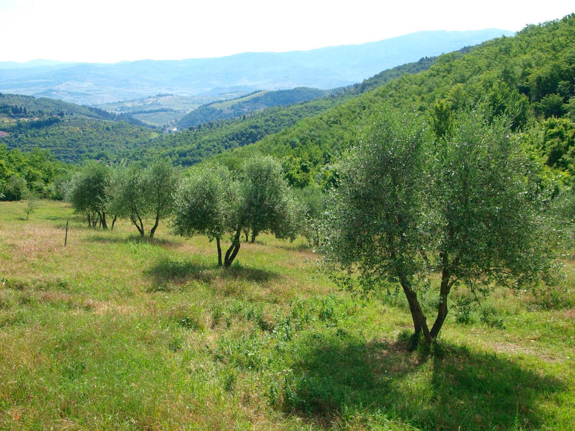 Casignano Bed & Breakfast Bagno A Ripoli Ruang foto